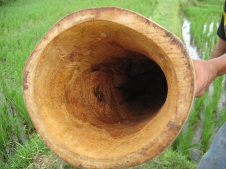 Didgeridoo Eukalyptus 2011-52 